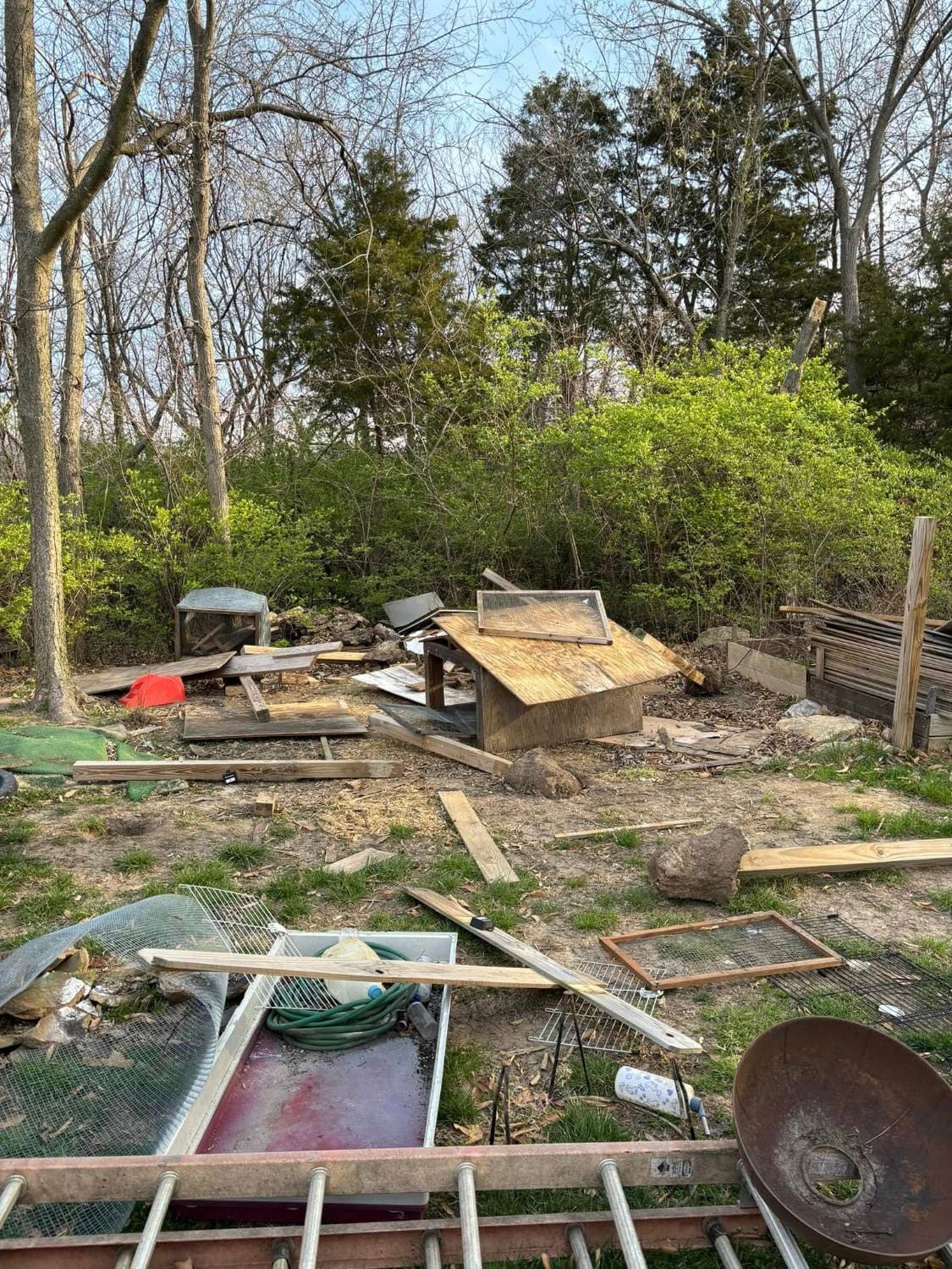 Backyard by a tree line covered in a collapsed wooden structure, loose lumber, wire panels, a ladder and a tub
